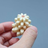 Thaigashi ไม่มีสาขา