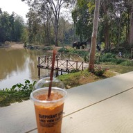 บรรยากาศ Elephant House Lake view Cafe