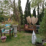 Forest Café & Pizzeria