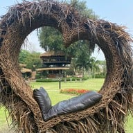 เก๊ามะขาม