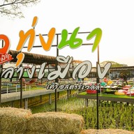 ร้านสละโสด โคราช