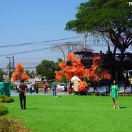 ร้านสละโสด โคราช