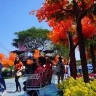 ร้านสละโสด โคราช