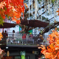 ร้านสละโสด โคราช