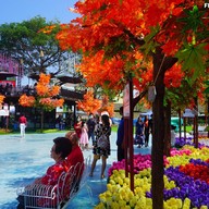 ร้านสละโสด โคราช