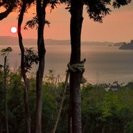 Dragon View Bar&Restaurant