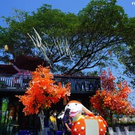 ร้านสละโสด โคราช