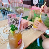 Neko Cat Cafe Phuket