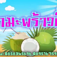 น้ำมะพร้าวปั่นนมสด