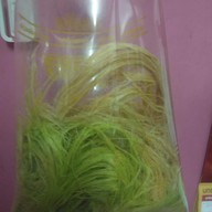 โรตีสายไหม ฟารีนา บางปะอิน