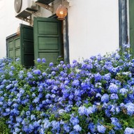 เวียงภูมินทร์