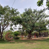 บรรยากาศ เทรชเชอร์ คาเฟ่ (Treasure Cafe)ลำลูกกา คลอง 5  -