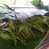 เมนูของร้าน ขนมจีนป้าเขียว