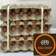 ไข่สด (EGG SHOP)
