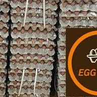 ไข่สด (EGG SHOP)