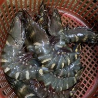 ร้านข้าวต้มเครื่องแม่กลองสูตรโบราณ&อาหารทะเล พิบูลย์สงคราม8นนทบุรี