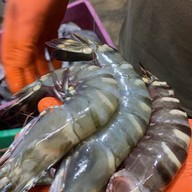 ร้านข้าวต้มเครื่องแม่กลองสูตรโบราณ&อาหารทะเล พิบูลย์สงคราม8นนทบุรี