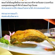 สวนอาหารชมแก้ว มหาชัย