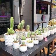 SOPACAFE