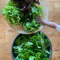 โอวีโอสลัด -