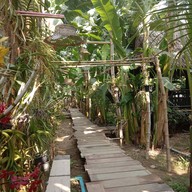 บ้านนอกที่รัก