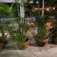 ร้านอาหารจ่าหมูจุ่ม 1