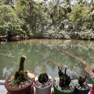สถานีนมข้นหวาน