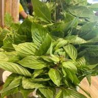 ก๋วยเตี๋ยวเรือลุงจุน รังสิตคลอง5