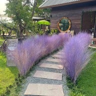 Sit A Cup ซิทอ่ะคับ Sukhothai