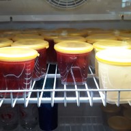 เปรี้ยวๆหวานๆ