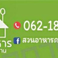 ครัวหลังบ้าน