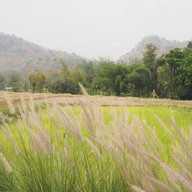 Natu Hut Farmstay & Cafe