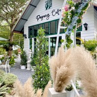 ป่ายางคาเฟ่