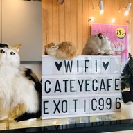 Cat' Eye Cafe - Coffee& Dessert