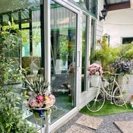 ป่ายางคาเฟ่