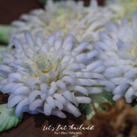 ศาลาไทย
