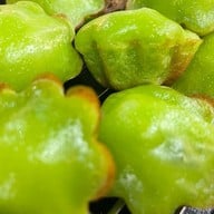 ลูกชุบมั้ยคะ