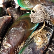 ณรงค์ อาหารทะเล