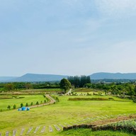 Sugavia Healthy Land Cafe