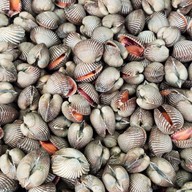 ณรงค์ อาหารทะเล