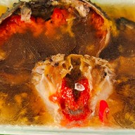 ณรงค์ อาหารทะเล