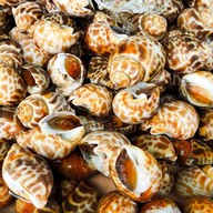 ณรงค์ อาหารทะเล