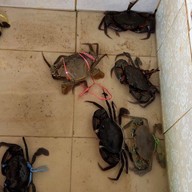 ณรงค์ อาหารทะเล