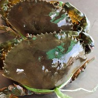 ณรงค์ อาหารทะเล