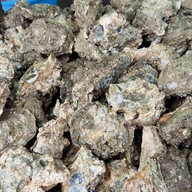 ณรงค์ อาหารทะเล