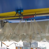 ท็อปปลากริมไข่เต่า