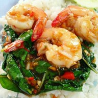 ตัวกลมอินดี้