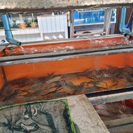 บางตะบูน ทะเลเผา สาย5 พุทธมณฑลสาย 5