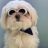 อาเฮีย หมูกระทะทอง