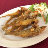 ครัวไพลิน